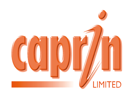 Website Logo